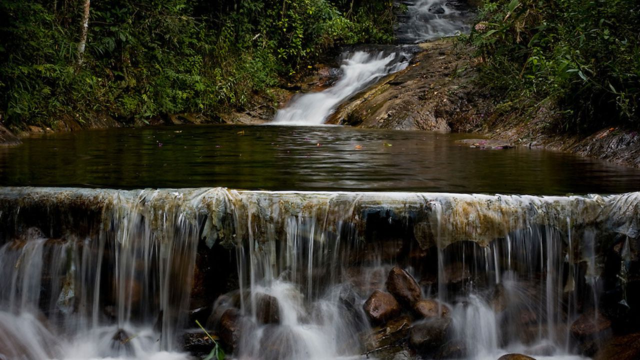 Parque do Sagui - Manhumirim