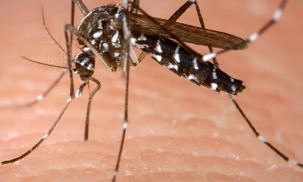 Deputado e médico, Dr. Mário alerta sobre o surto de dengue em Minas