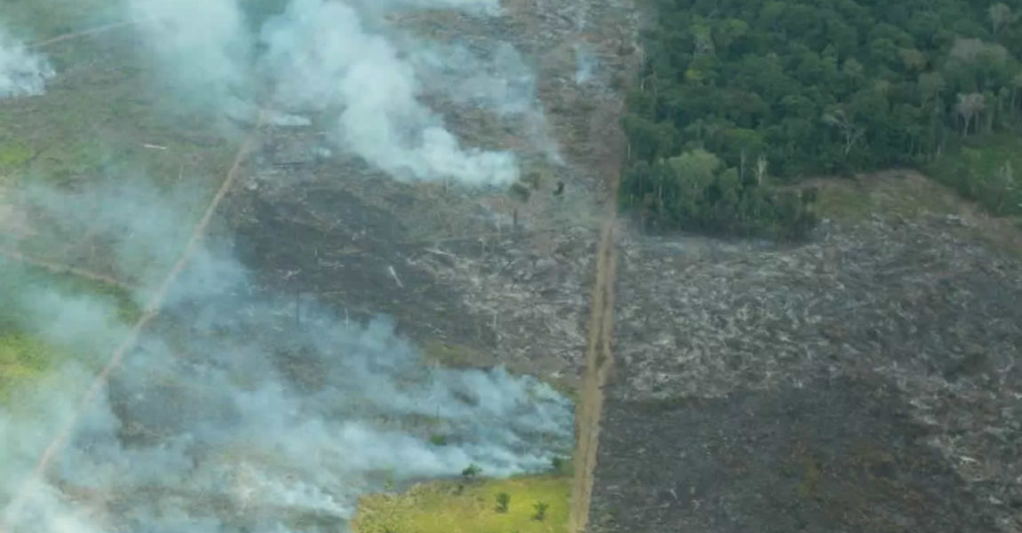 Dr. Mário reconhece importância do Fundo Amazônia