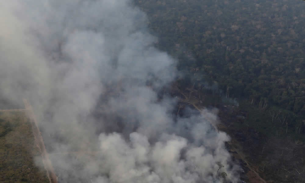 Dr. Mário volta a falar sobre os problemas do desmatamento na Amazônia