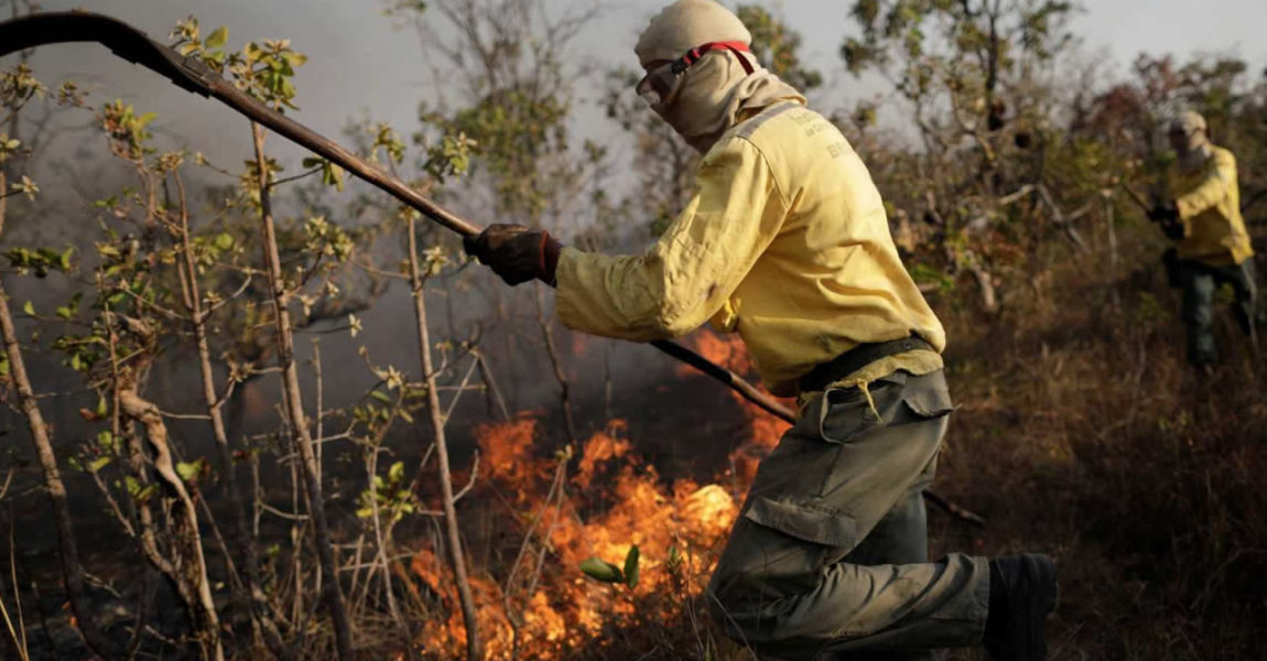 Dr. Mário alerta para queimadas em Minas Gerais