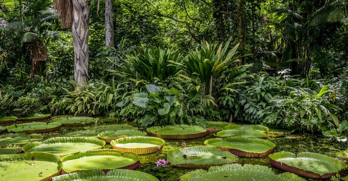 Dr. Mário integra lista de deputados federais compromissados com as causas do Meio Ambiente